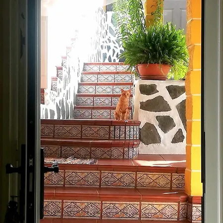 Casa Cueva El Balcon Del Cortijo * 테로르