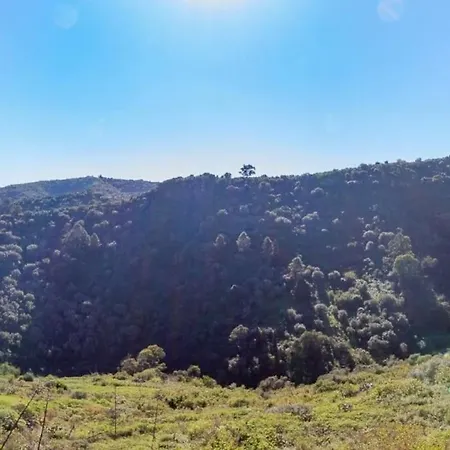 Casa Cueva El Balcon Del Cortijo 컨트리하우스