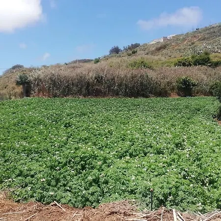 Casa Cueva El Balcon Del Cortijo 테로르