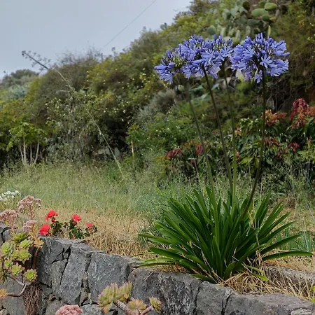 컨트리하우스 Casa Cueva El Balcon Del Cortijo