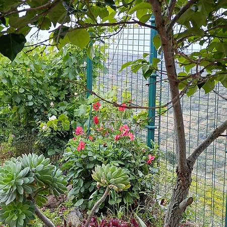 컨트리하우스 Casa Cueva El Balcon Del Cortijo